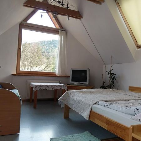 Apartamencik Z Widokiem Na Giewont Закопане Екстериор снимка