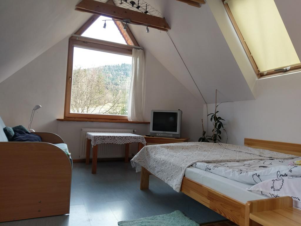 Apartamencik Z Widokiem Na Giewont Закопане Екстериор снимка