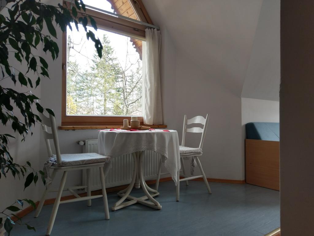 Apartamencik Z Widokiem Na Giewont Закопане Екстериор снимка