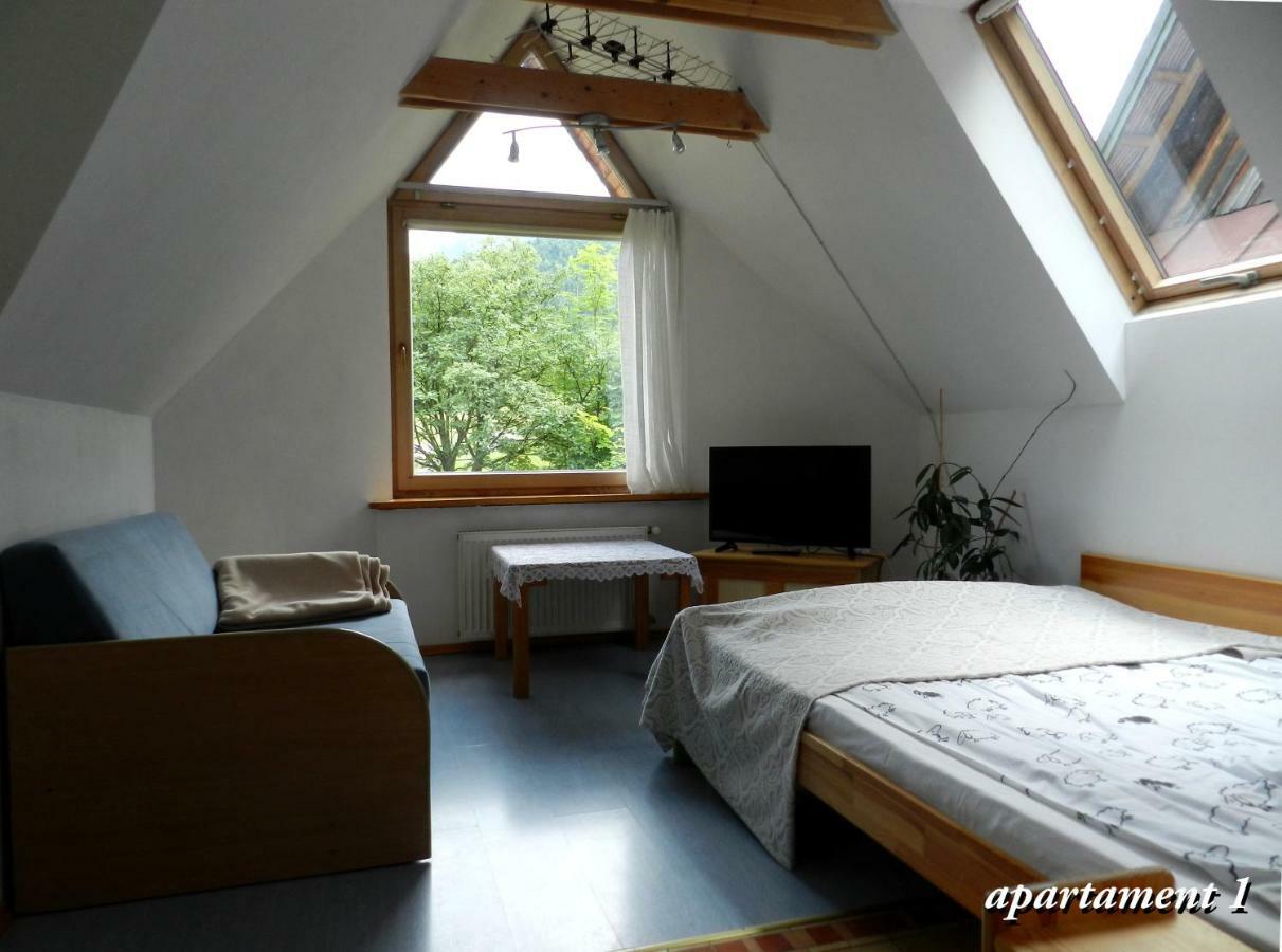 Apartamencik Z Widokiem Na Giewont Закопане Екстериор снимка