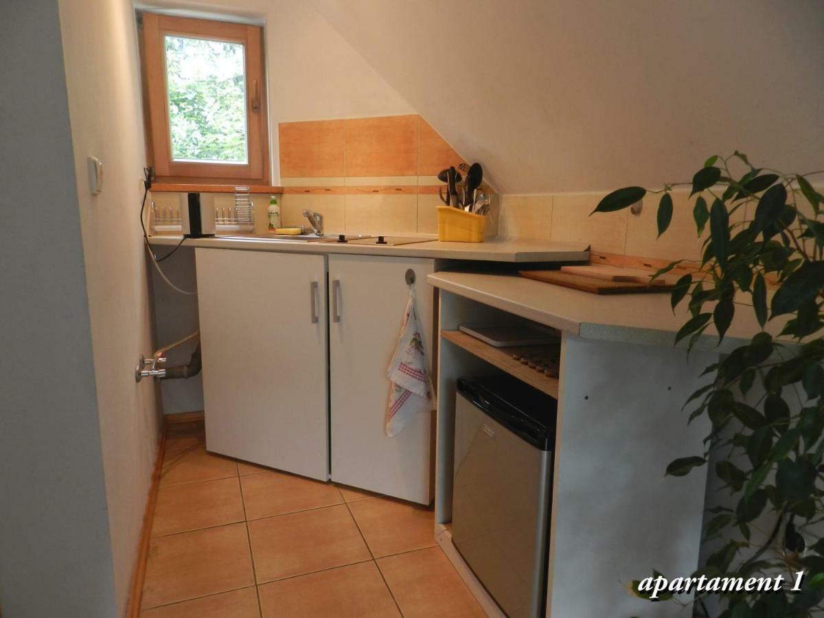 Apartamencik Z Widokiem Na Giewont Закопане Екстериор снимка