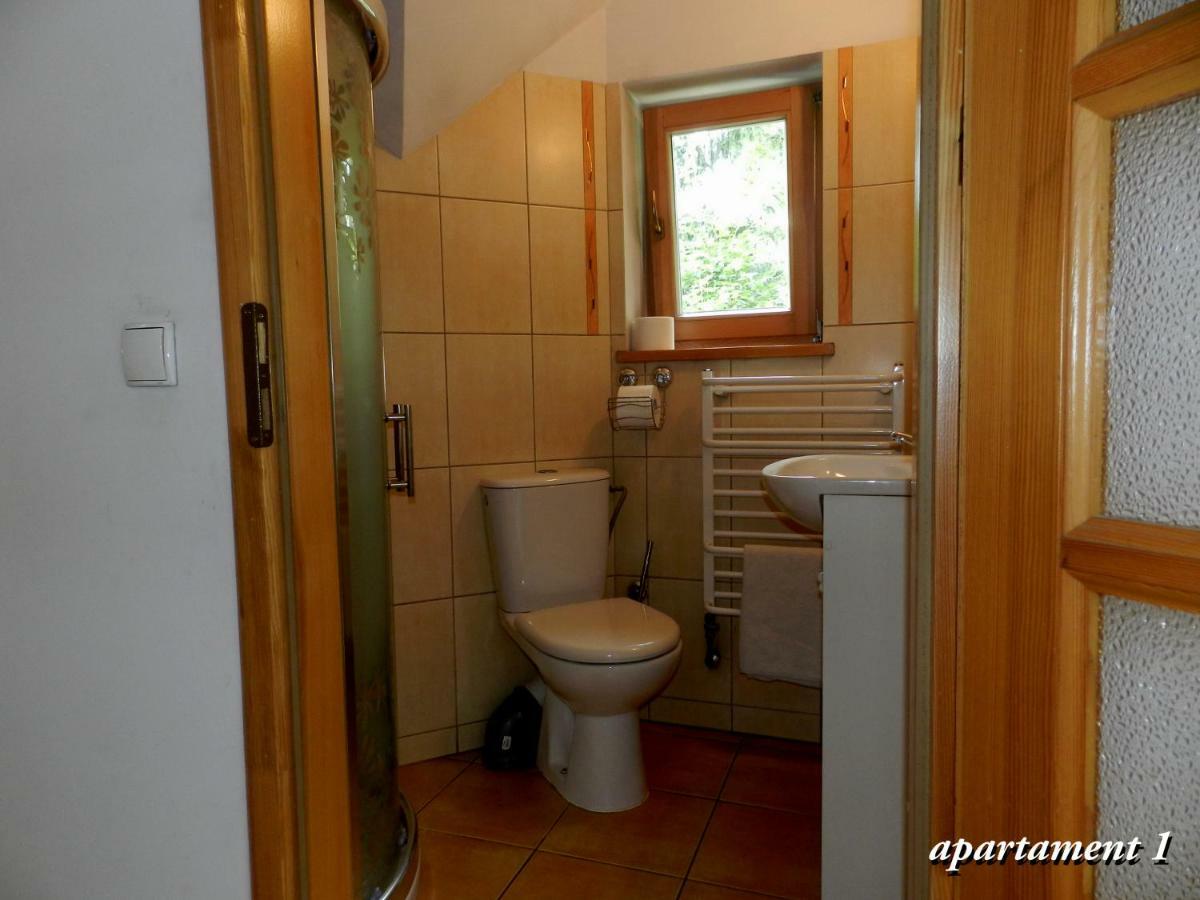 Apartamencik Z Widokiem Na Giewont Закопане Екстериор снимка